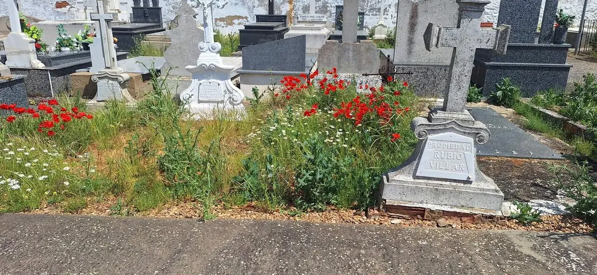 Valencia-De-Don-Juan-Cementerio-20260525_8