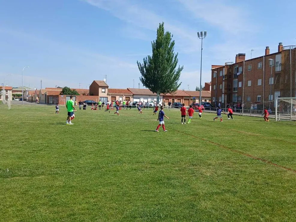 escuelas deportivas santa mar&iacute;a (9)