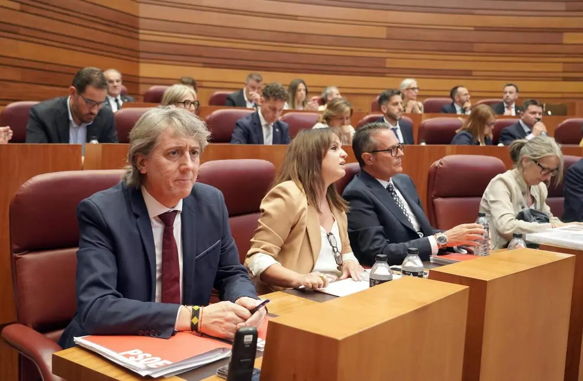 Investidura (11)