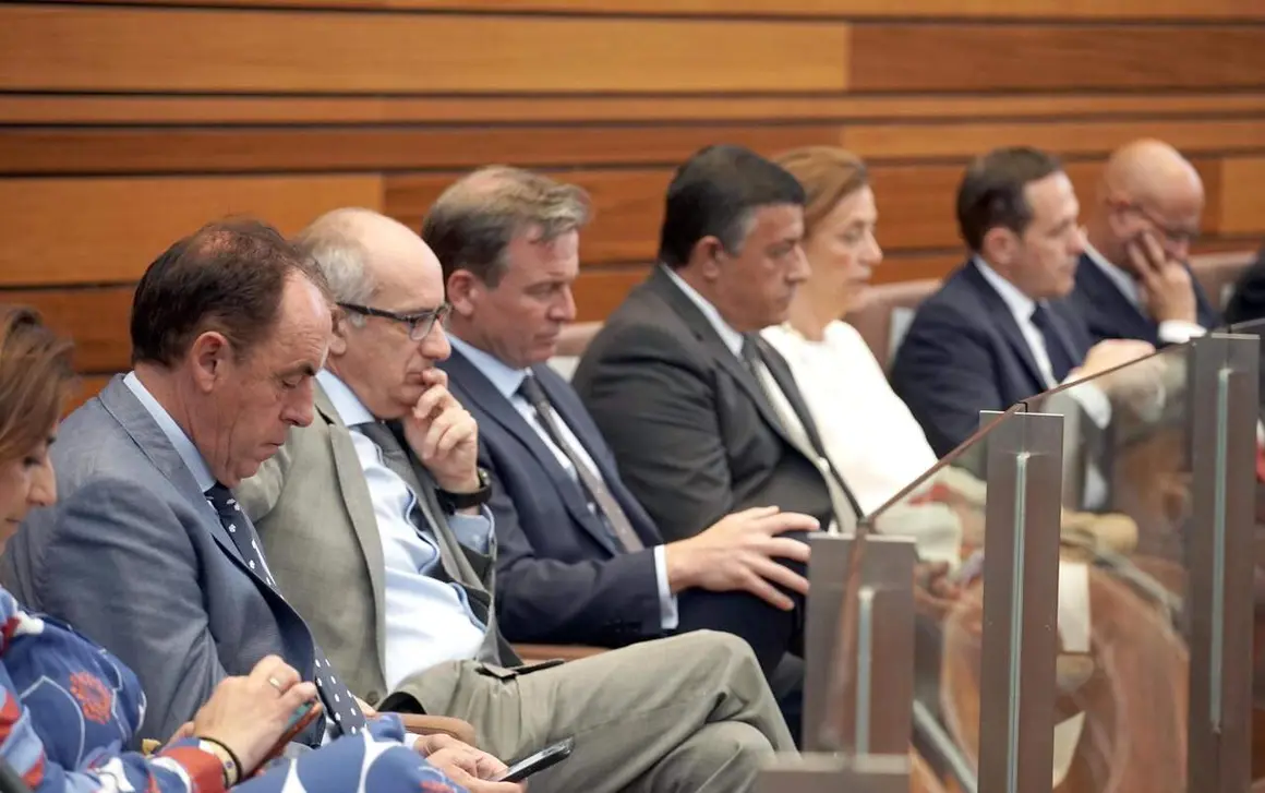 Investidura (16)