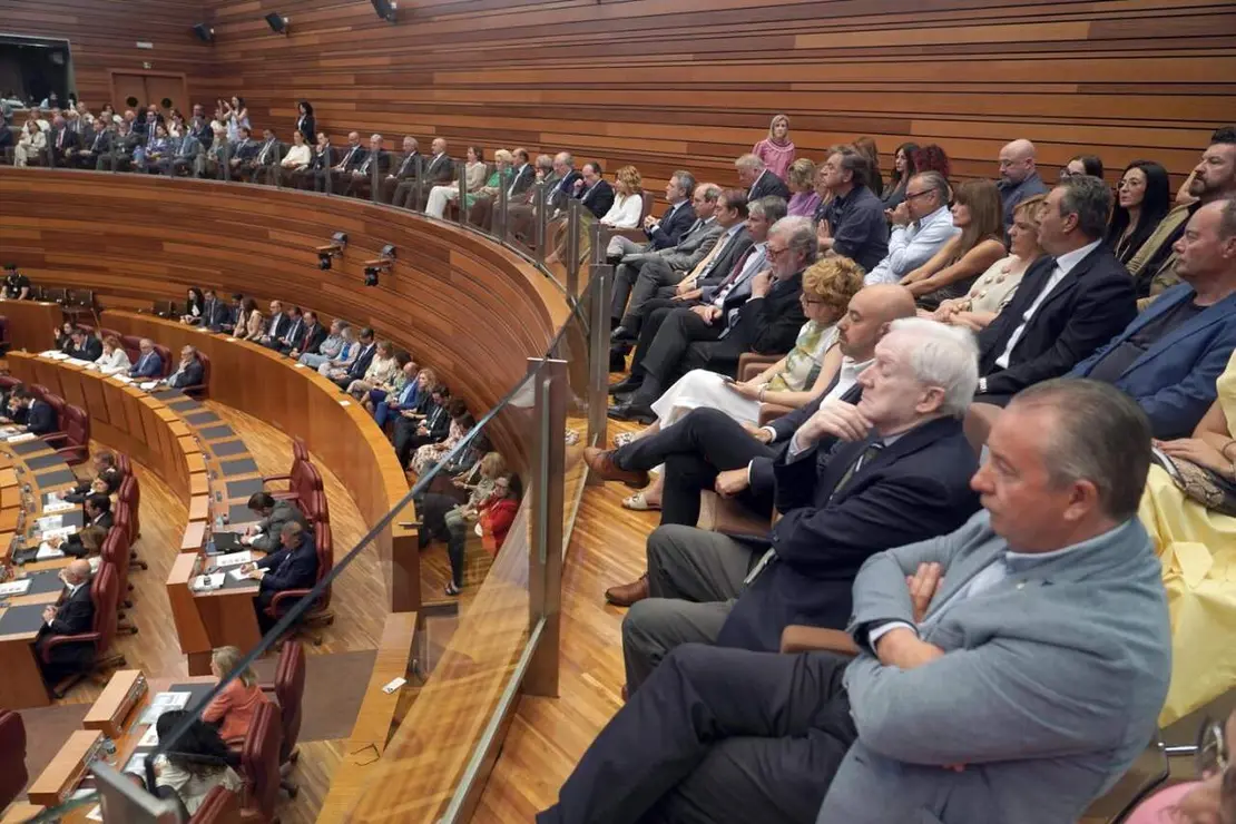 Investidura (19)