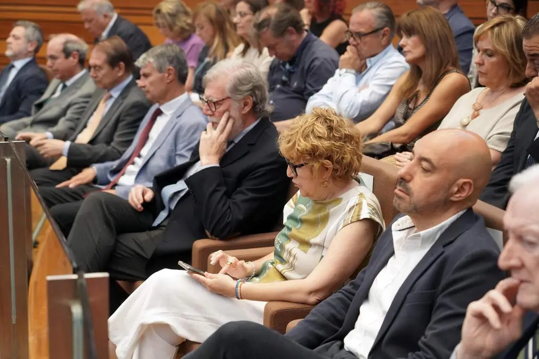 Investidura (24)
