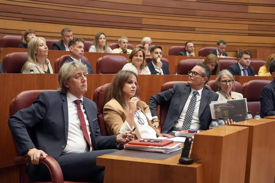 Investidura (32)