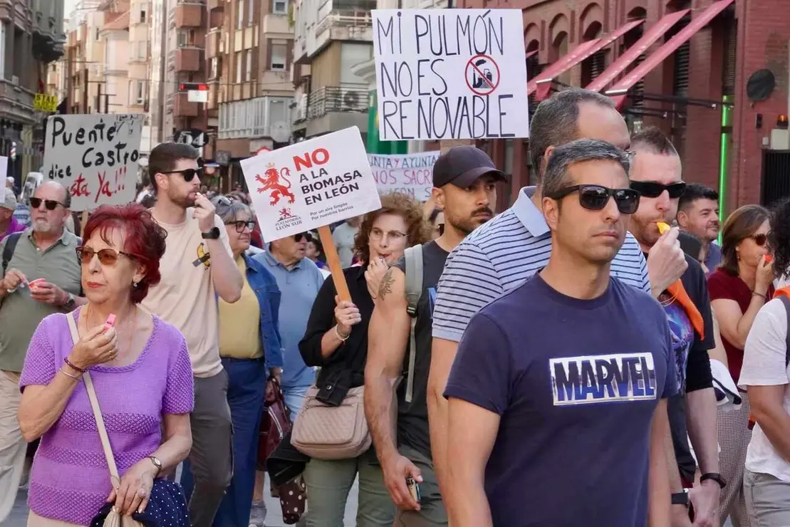 La plataforma contra la planta de biomasa de Puente Castro en Le&oacute;n se manifiesta contra el proyecto