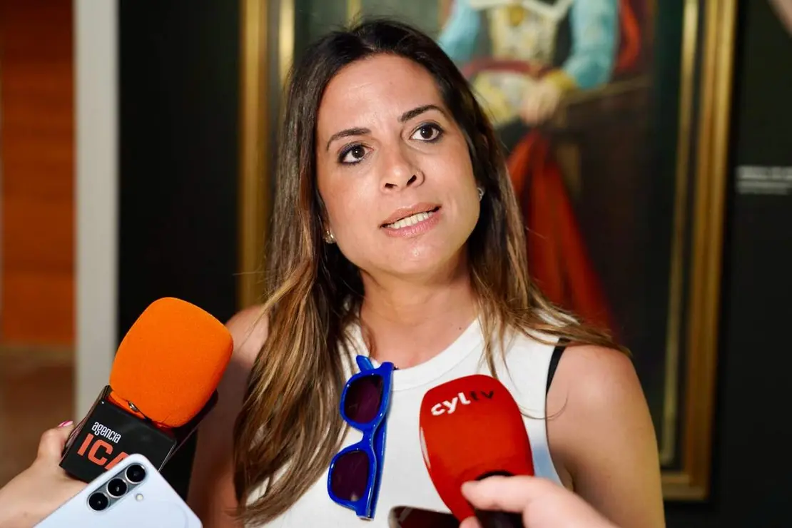 Desinformaci&oacute;n PSOE (5)