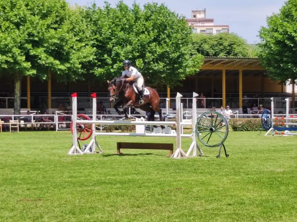 hipica sabado (1)