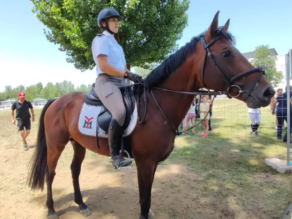 hipico domingo (3)