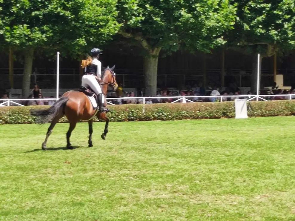 hipico domingo (6)