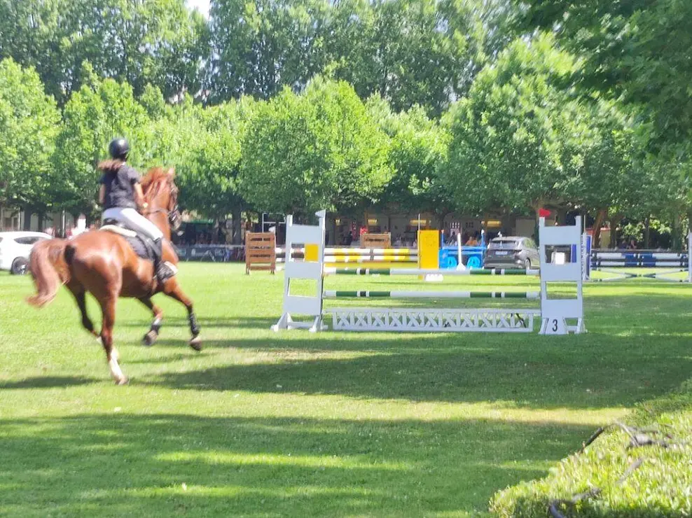 hipico domingo (8)