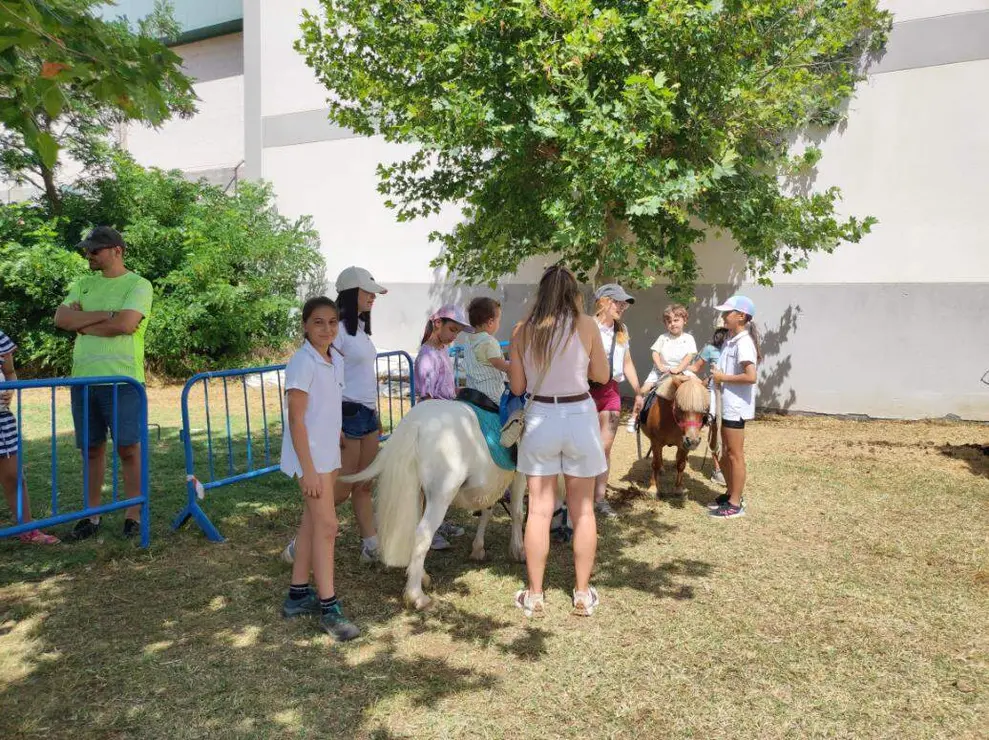 hipico paralela domingo (3)