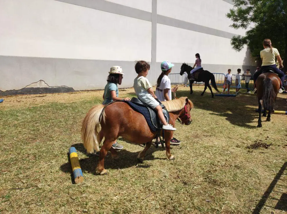 hipico paralela domingo (4)