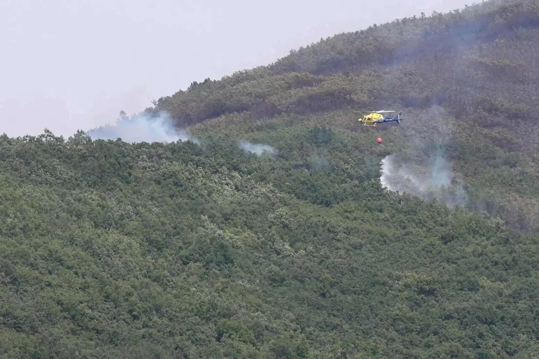 Declarado de nivel 1 un incendio forestal originado esta madrugada en Valdepi&eacute;lago (Le&oacute;n)