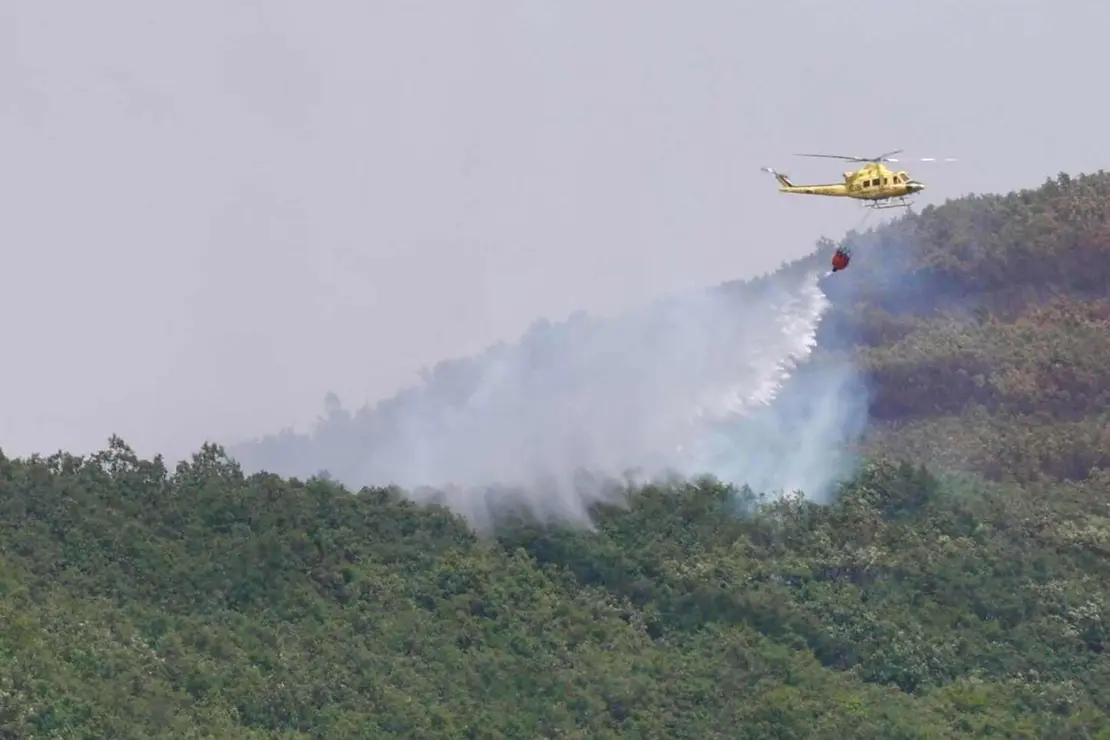 Declarado de nivel 1 un incendio forestal originado esta madrugada en Valdepi&eacute;lago (Le&oacute;n)