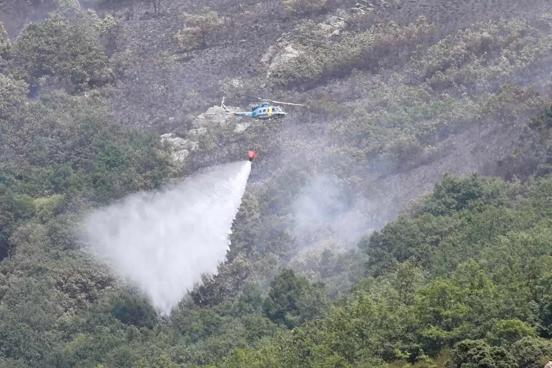 Declarado de nivel 1 un incendio forestal originado esta madrugada en Valdepi&eacute;lago (Le&oacute;n)