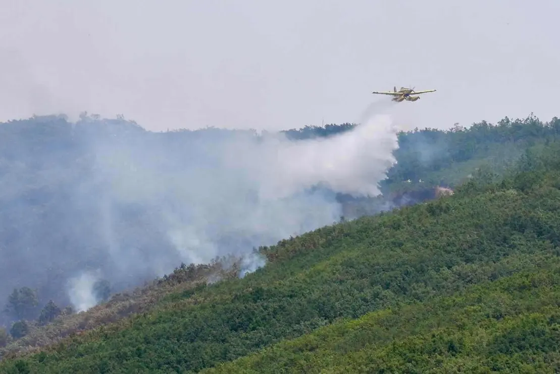 Declarado de nivel 1 un incendio forestal originado esta madrugada en Valdepi&eacute;lago (Le&oacute;n)