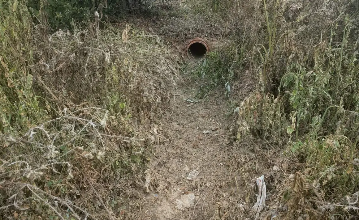 El PSOE de Valverde de la Virgen traslada al Seprona posibles irregularidades en la red de saneamiento de San Miguel del Camino. Foto: PSOE.