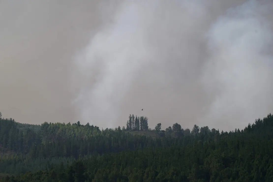 Incendio en la localidad de San Vicente de Arganza (Le&oacute;n)