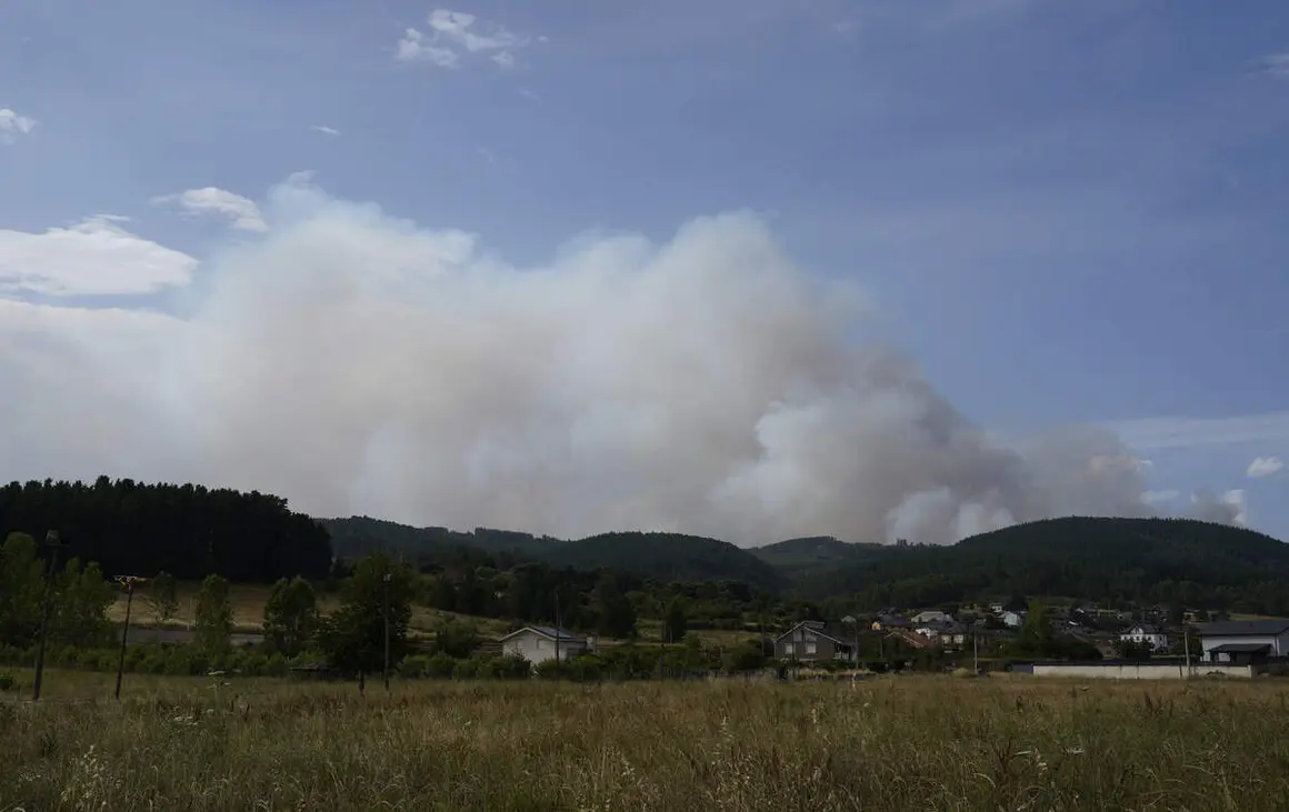 Incendio en la localidad de San Vicente de Arganza (Le&oacute;n)