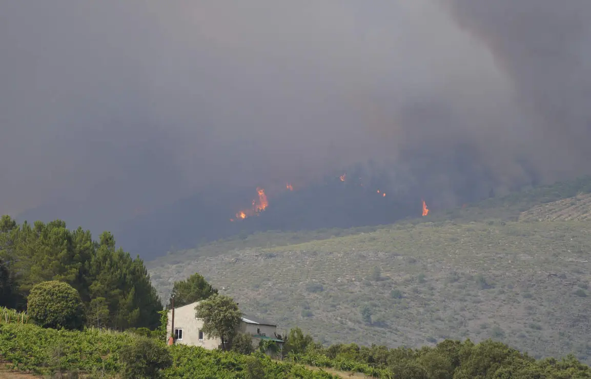 Incendio en la localidad de San Vicente de Arganza (Le&oacute;n)
