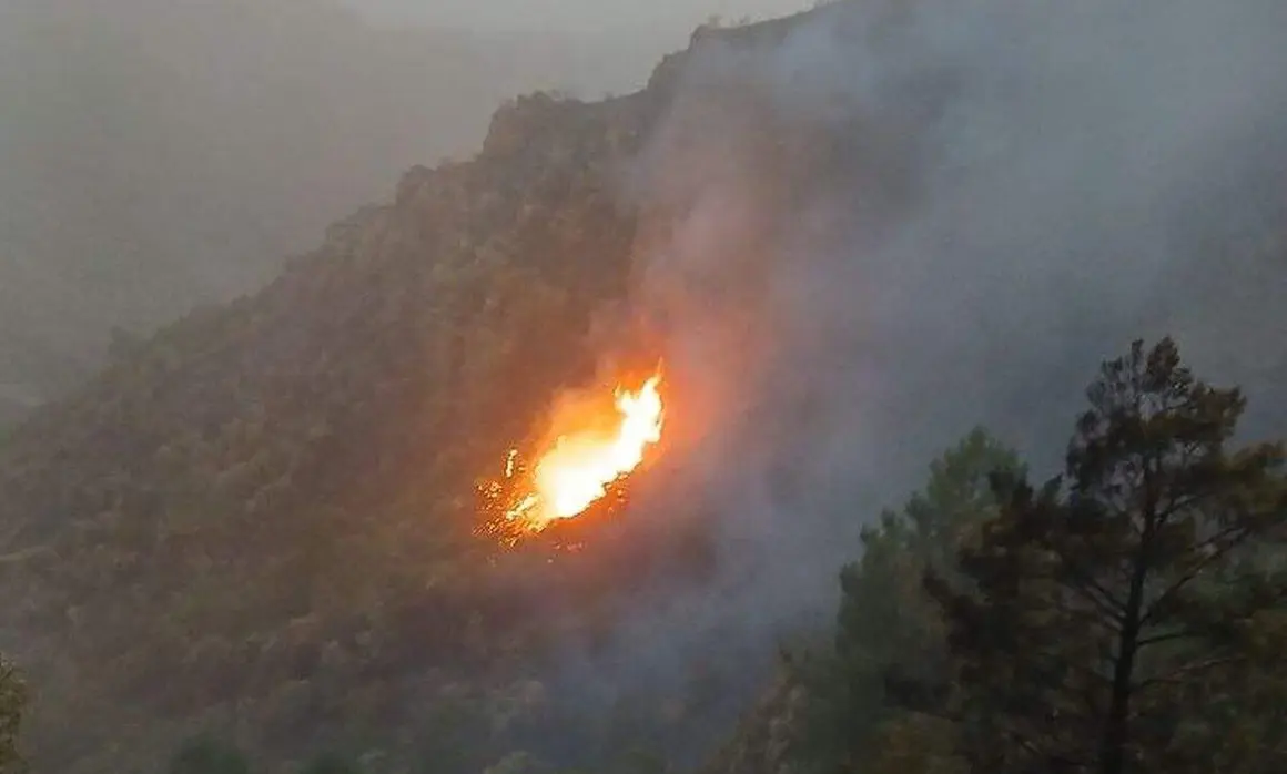 fuego1