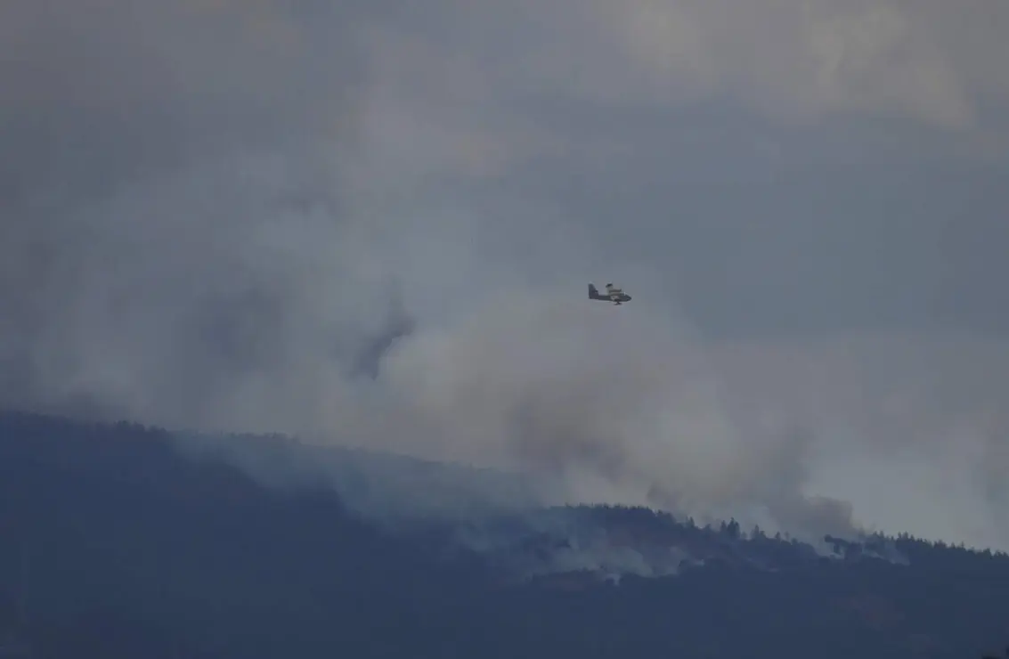 Incendio en el municipio de Congosto (Le&oacute;n)