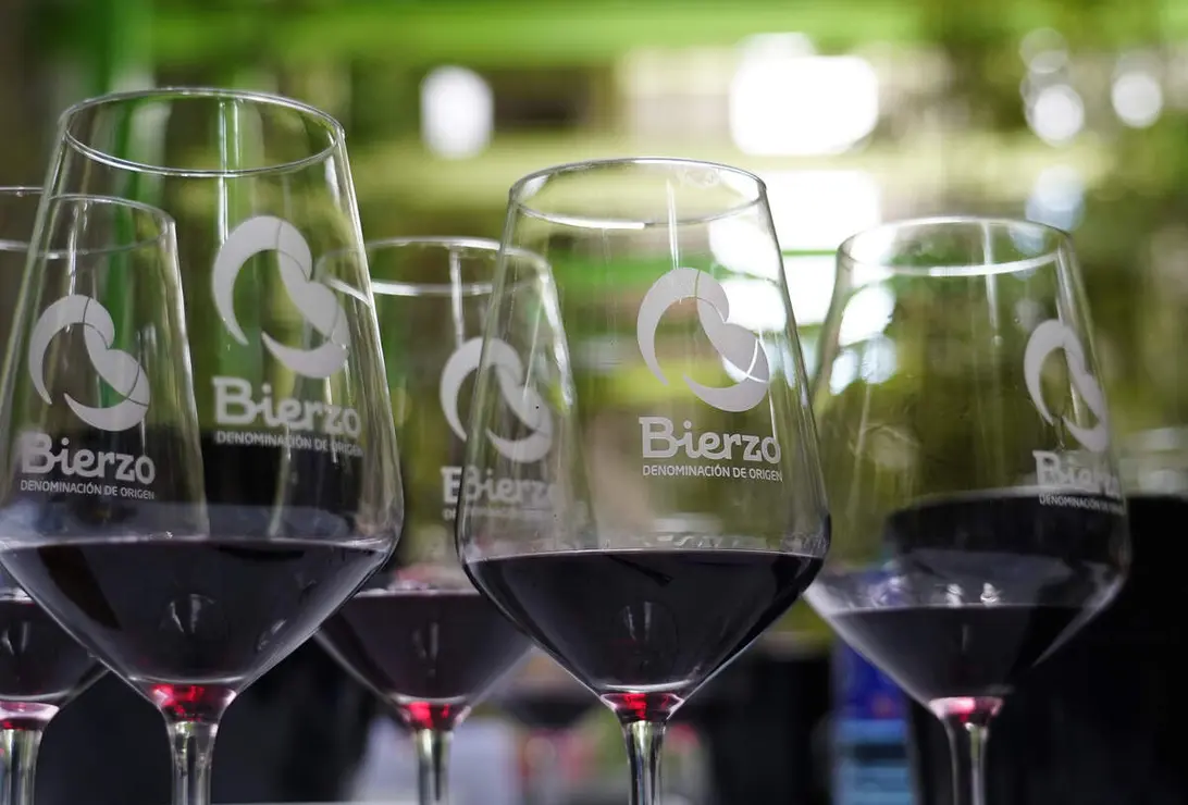 Acto de lectura de la calificaci&oacute;n de la a&ntilde;ada 2025 de la Denominaci&oacute;n de Origen Bierzo