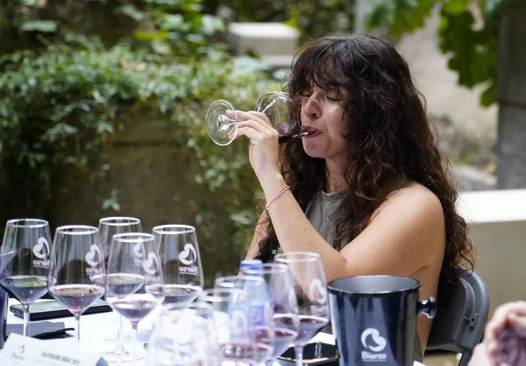 Acto de lectura de la calificaci&oacute;n de la a&ntilde;ada 2025 de la Denominaci&oacute;n de Origen Bierzo