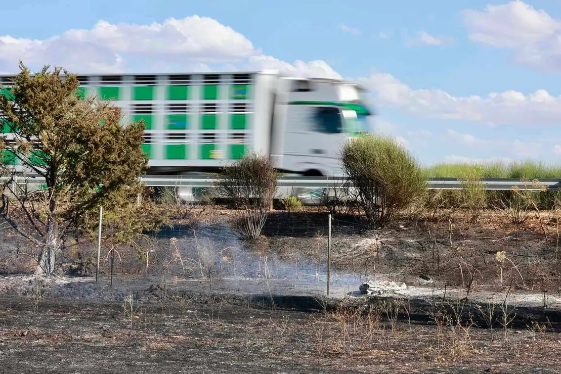 Un incendio en una cuneta de la A-231 en Santas Martas (Le&oacute;n) obliga a cortar la carretera en sentido Le&oacute;n