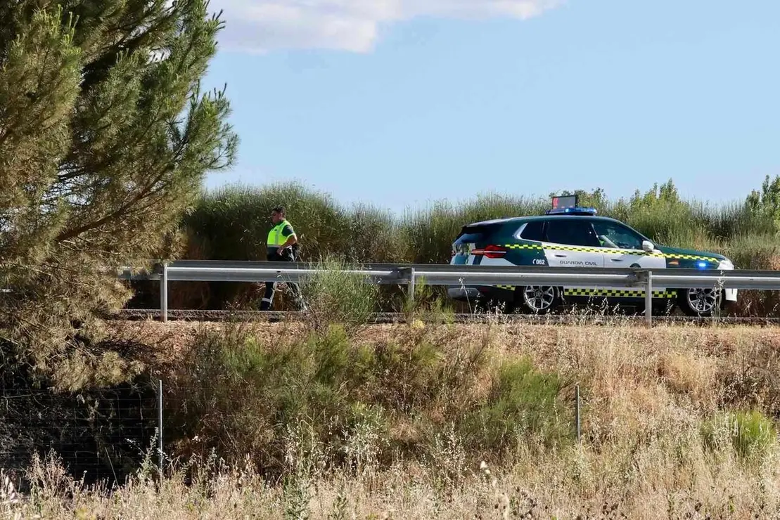 Un incendio en una cuneta de la A-231 en Santas Martas (Le&oacute;n) obliga a cortar la carretera en sentido Le&oacute;n