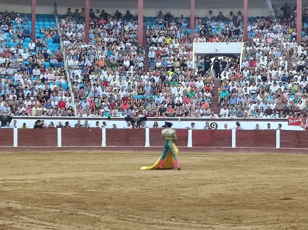 Toros (2)