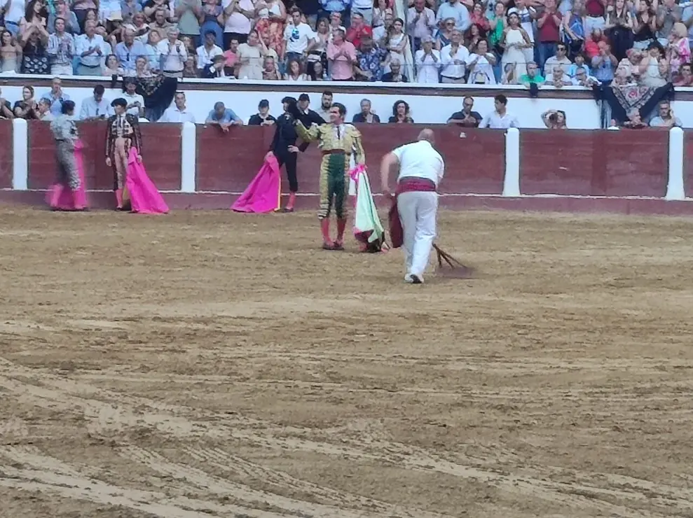 Toros (4)