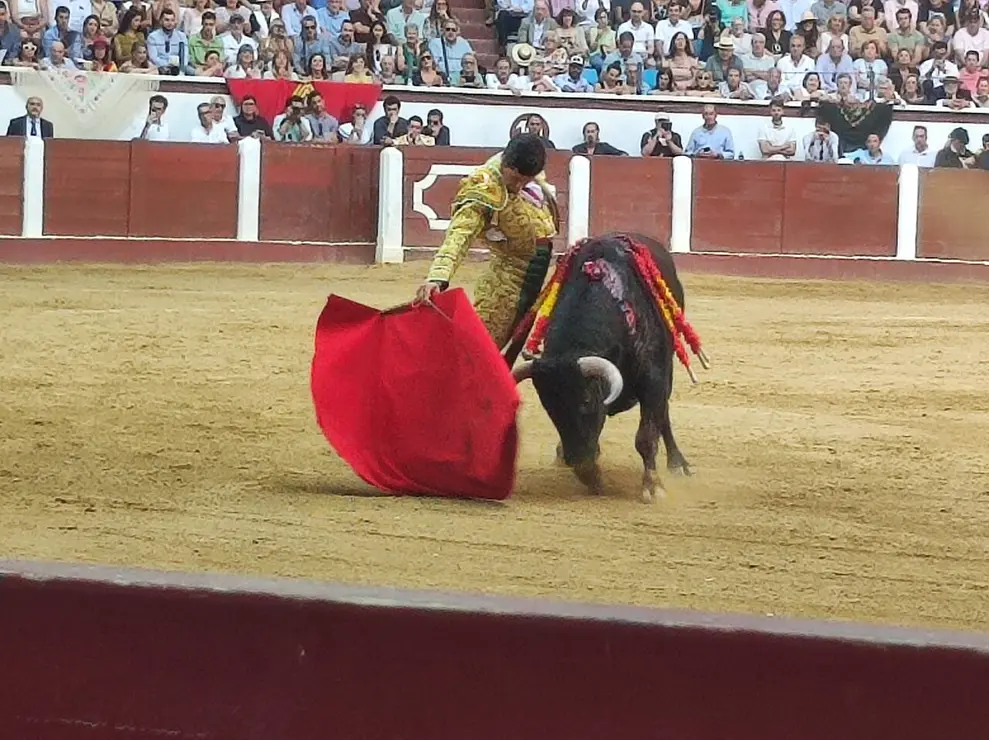 Toros (8)