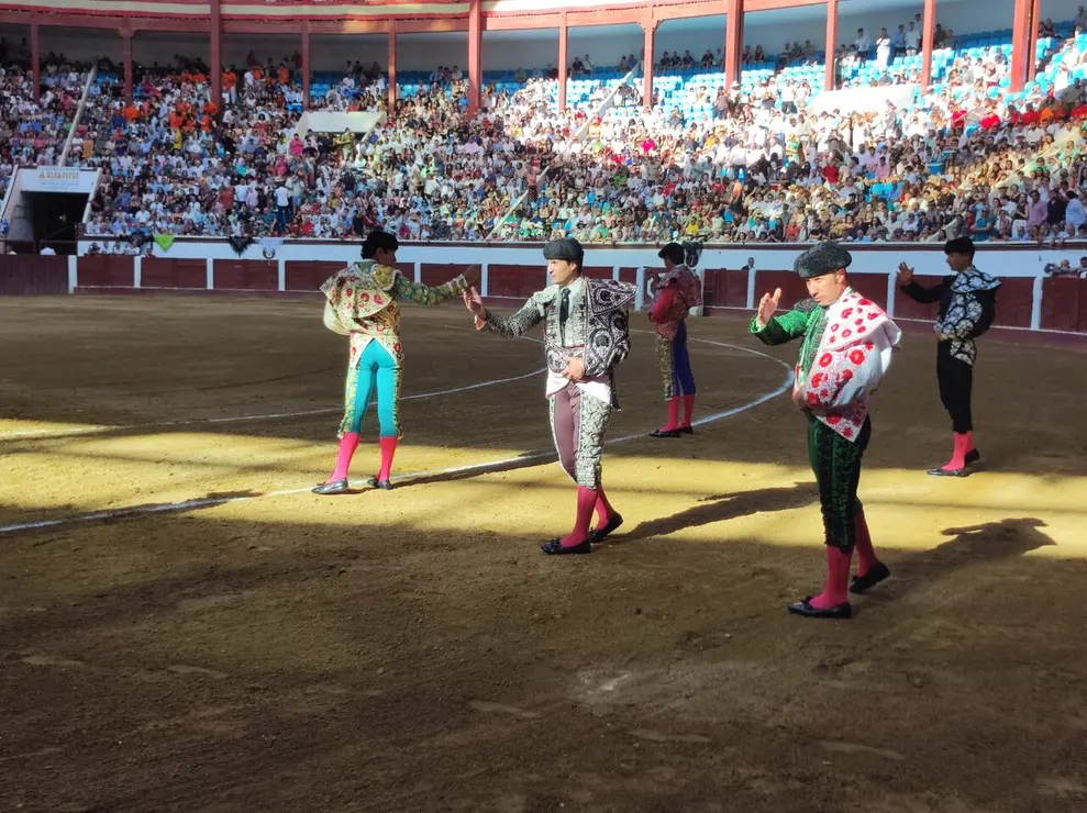Toros (9)
