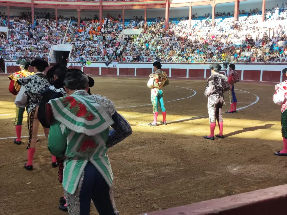 Toros (10)