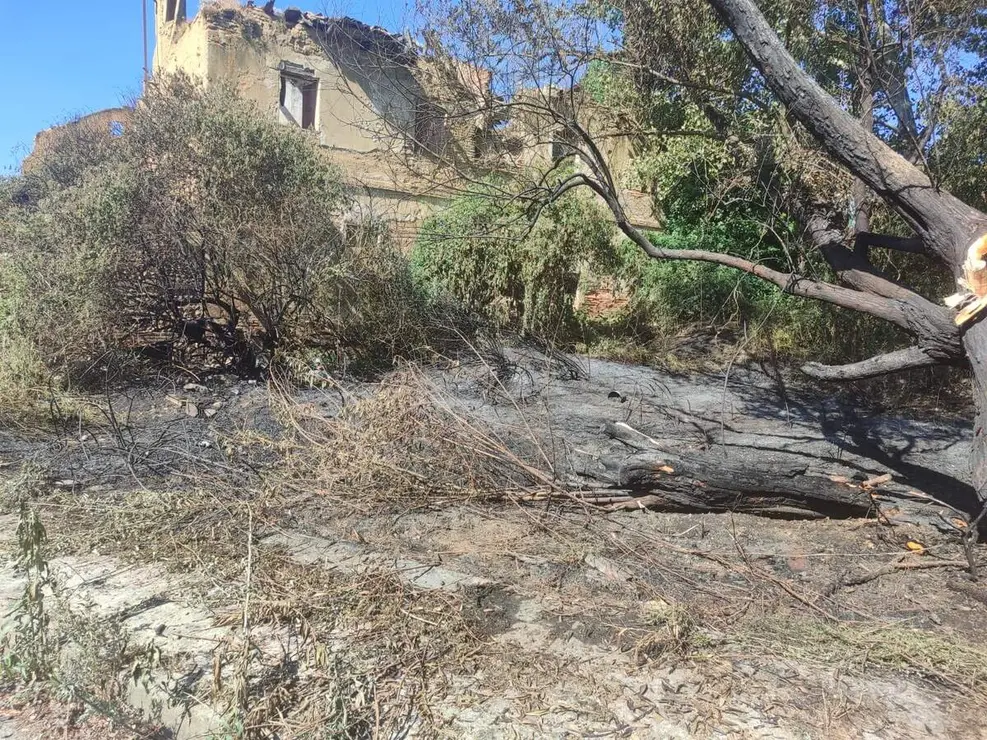 incendio en San Andr&eacute;s del Rabanedo (2)