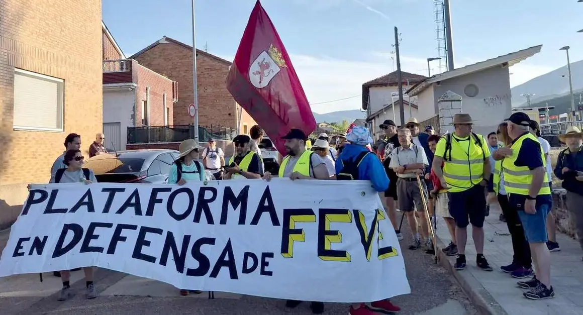 Feve (1)