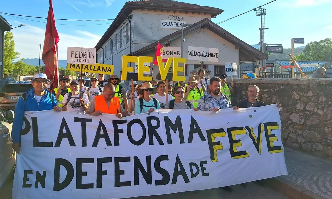 Feve (4)