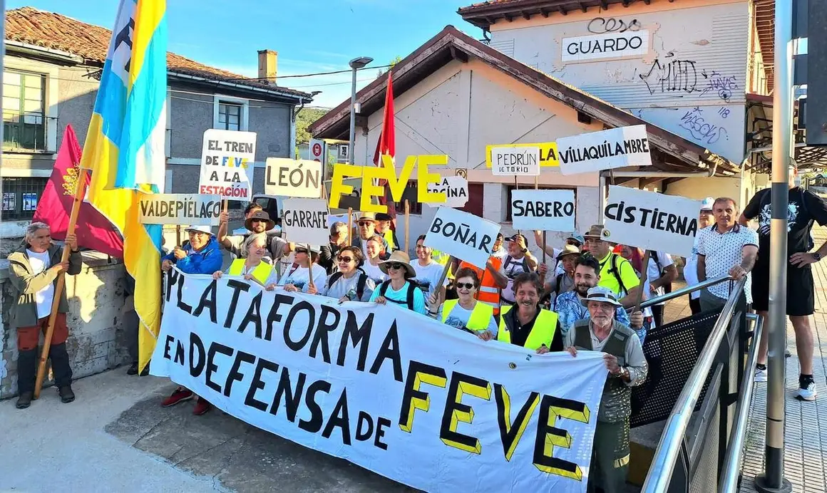 Feve (5)