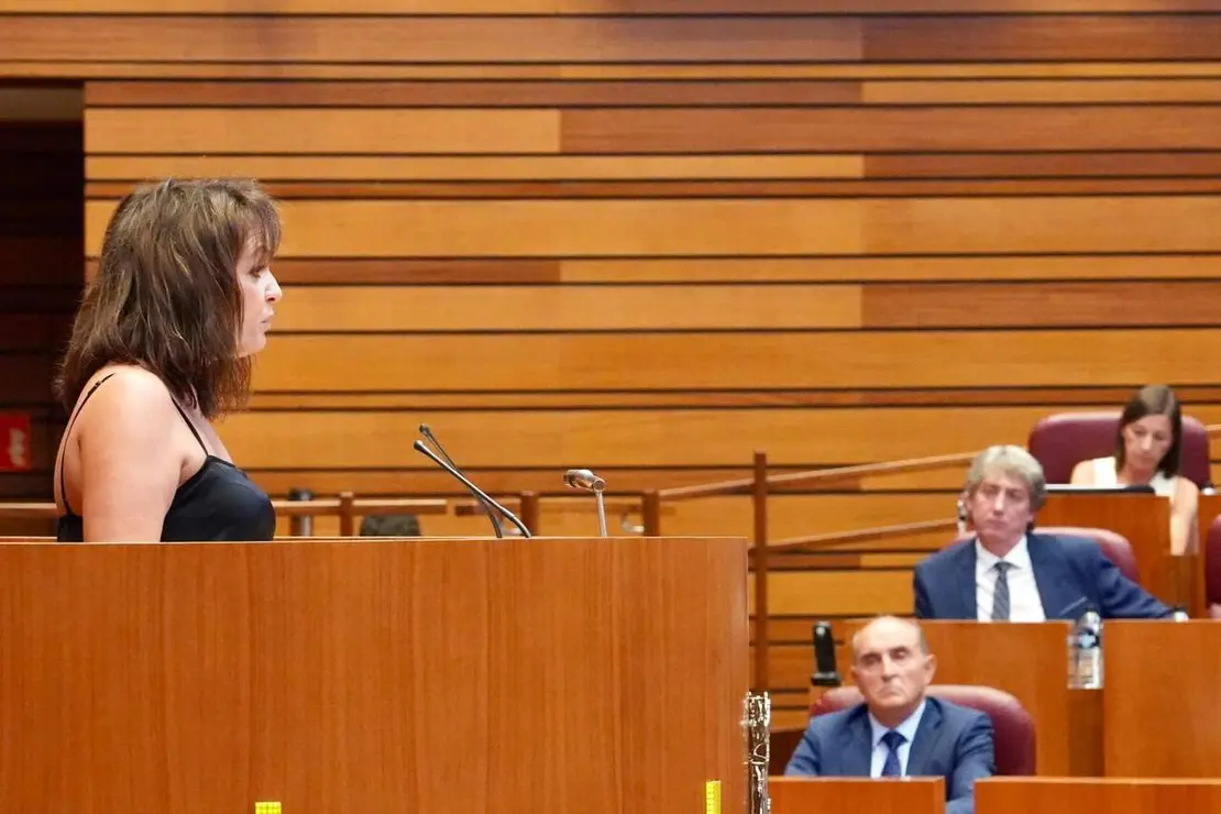 Procurador del Com&uacute;n Tom&aacute;s Quintana (12)