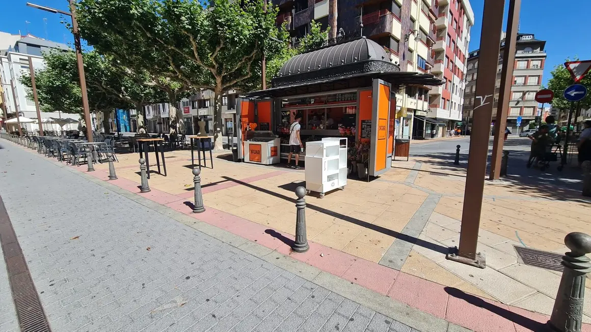 Caf&eacute; y flores (10)
