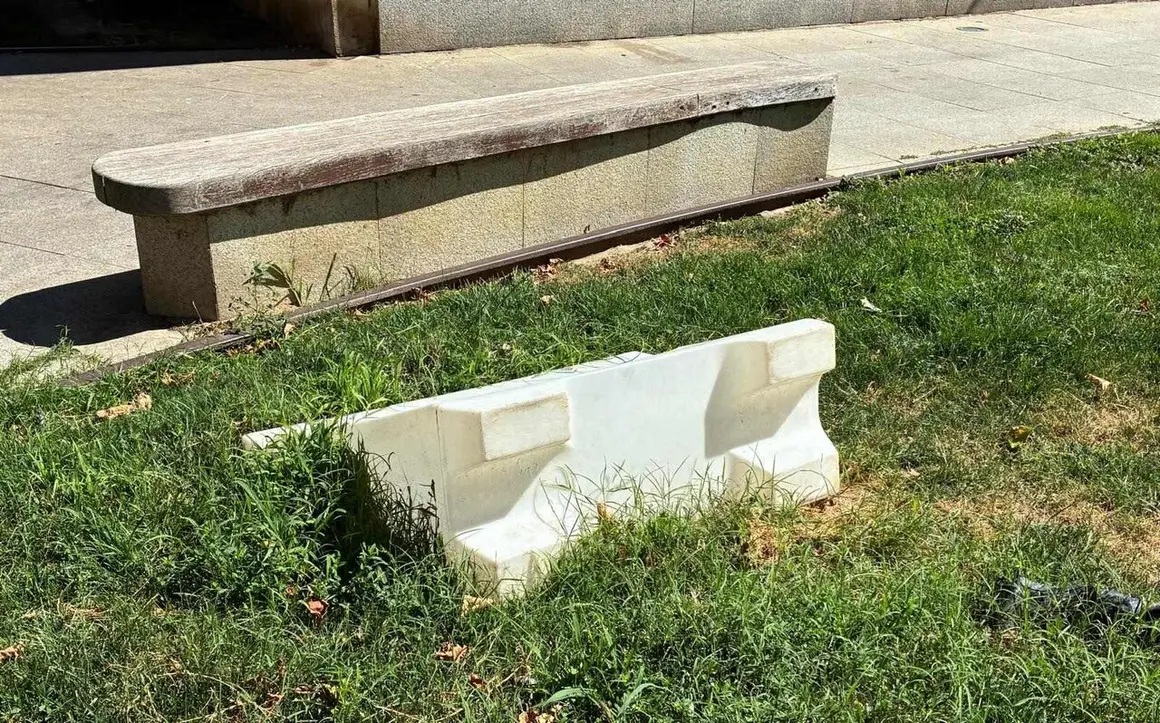 Parque de los poetas (9)
