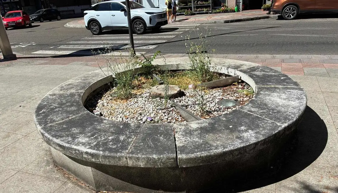 Parque de los poetas (23)