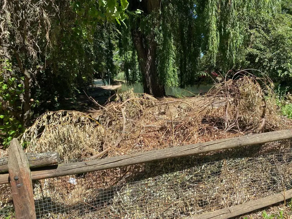 El PP denuncia que el Parque de Quevedo&nbsp;sufre un "creciente deterioro" que se observa en el estado de los caminos, la falta de mantenimiento y numerosas zonas con un aspecto deficiente y le aleja de la "excelencia" de &eacute;pocas anteriores. Fotos: PP de Le&oacute;n.