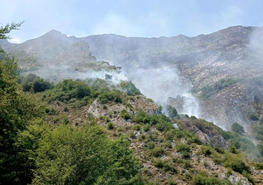 Ribota (3)