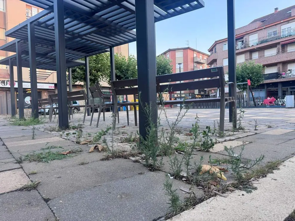 El PSOE de Valencia de Don Juan denuncia el "abandono" y la "suciedad" de calles y parques. Foto. PSOE.