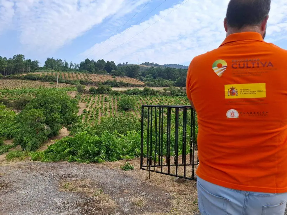 demencia bodega bierzo (3)