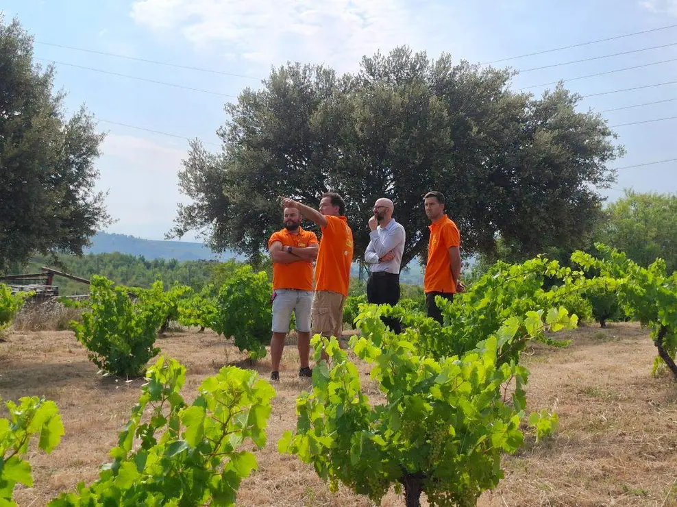 demencia bodega bierzo (7)
