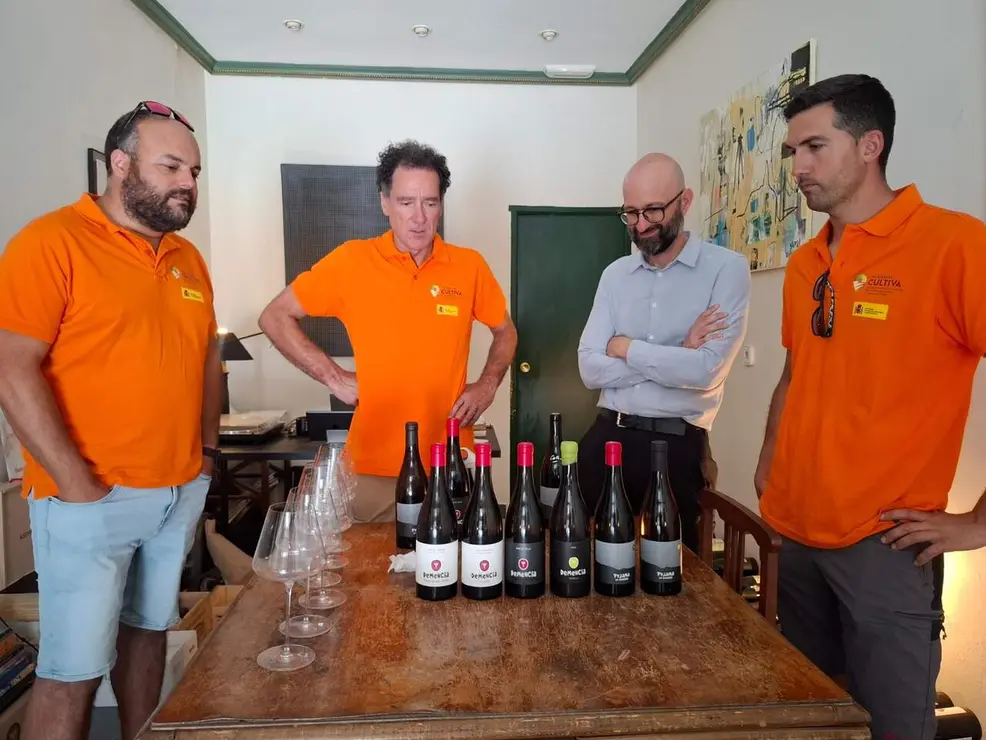 demencia bodega bierzo (12)