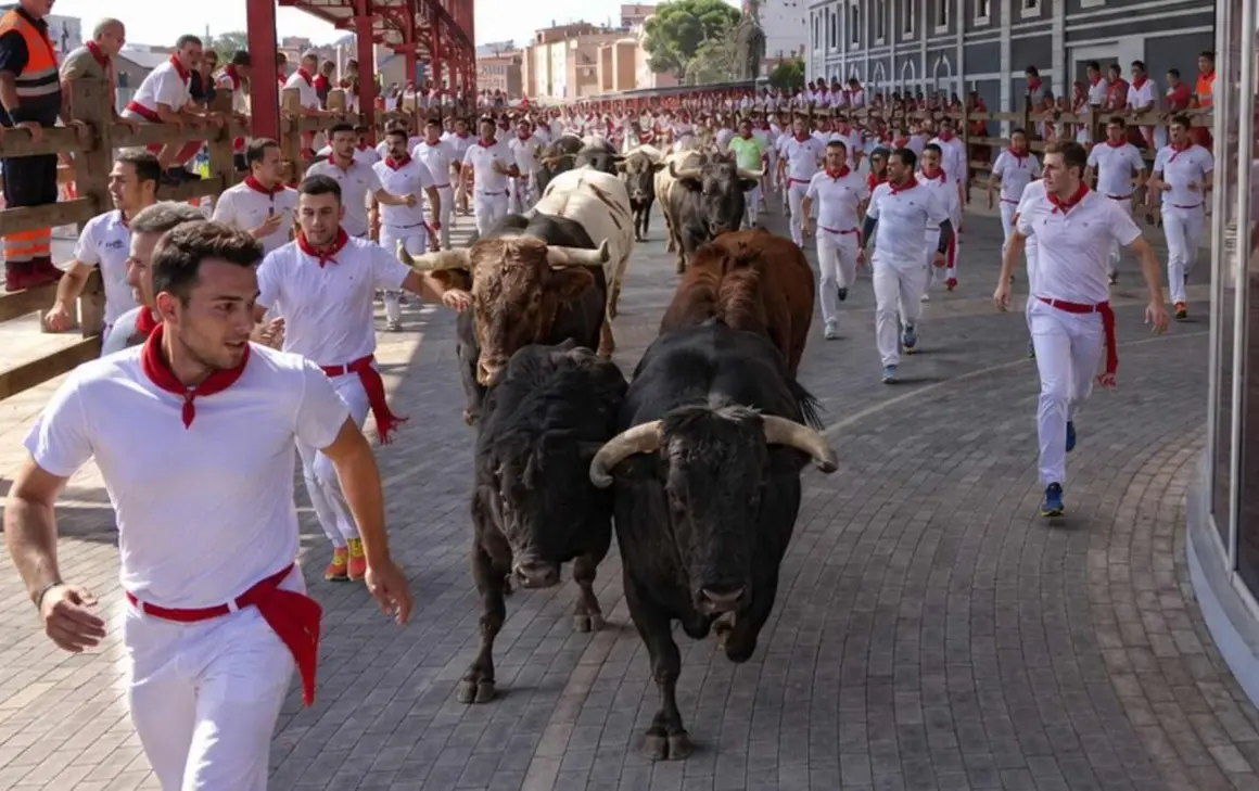 San Fermines en Le&oacute;n (1)