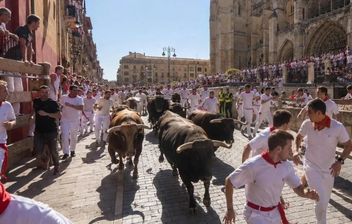 San Fermines en Le&oacute;n (5)